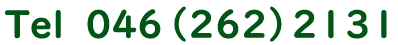 tel 046(262)2131